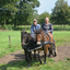 DSC 1366 - Paardenvierdaagse Barchem