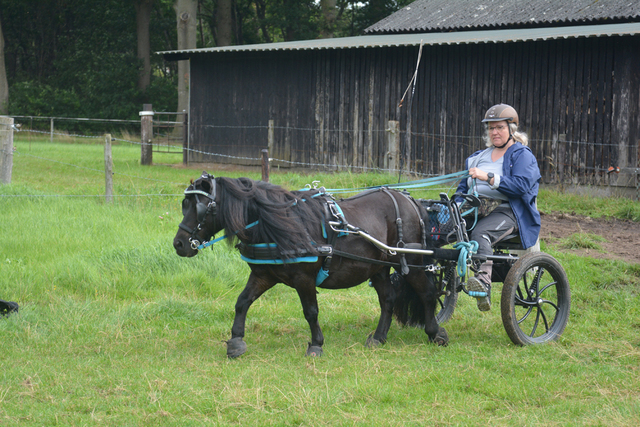 DSC 1378 Paardenvierdaagse Barchem