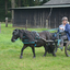 DSC 1378 - Paardenvierdaagse Barchem