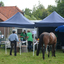 DSC 1379 - Paardenvierdaagse Barchem