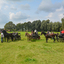 DSC 1382 - Paardenvierdaagse Barchem