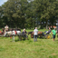 DSC 1383 - Paardenvierdaagse Barchem