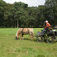 DSC 1384 - Paardenvierdaagse Barchem