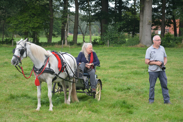 DSC 1389 Paardenvierdaagse Barchem