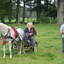 DSC 1389 - Paardenvierdaagse Barchem