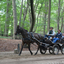 DSC 1414 - Paardenvierdaagse Barchem