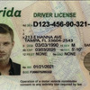 Florida FL DMV Driver License and Non driver Fake Identification Card