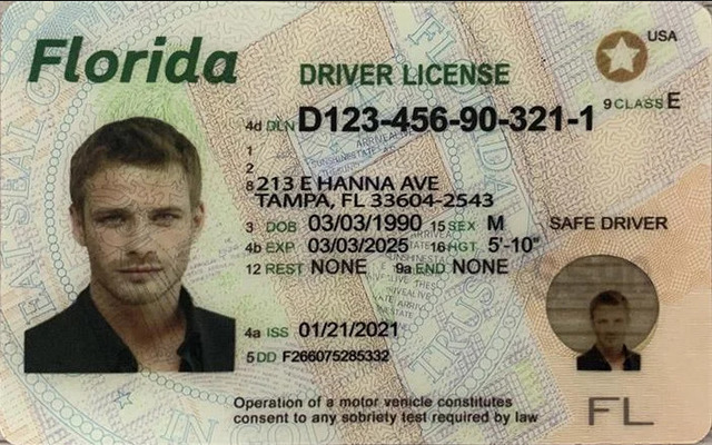Florida FL DMV Driver License and Non driver Fake  Florida FL DMV Driver License and Non driver Fake Identification Card