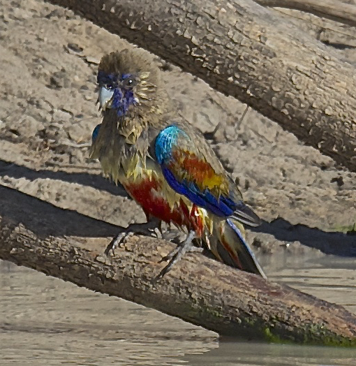 48611215476 6d66f6f0bb o - 