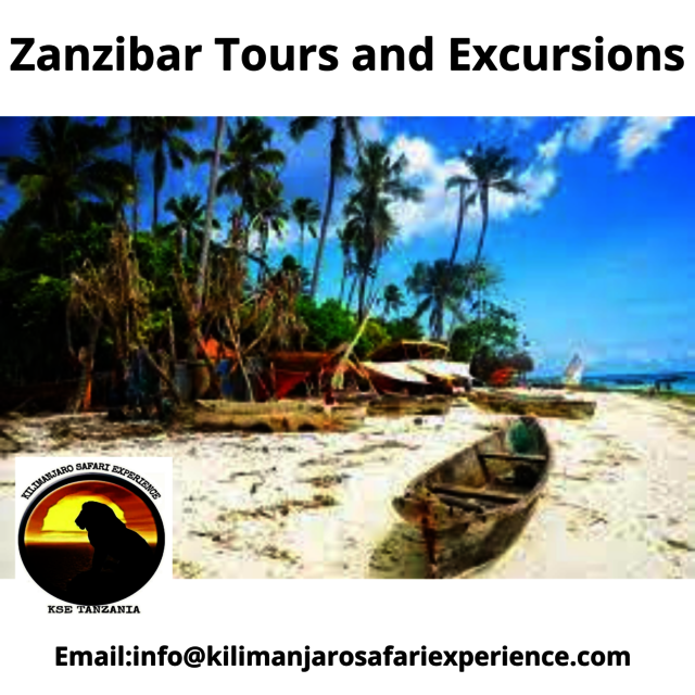 Zanzibar Tours and Excursions Picture Box