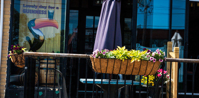 gal32 Gardens Glorious Landscaping