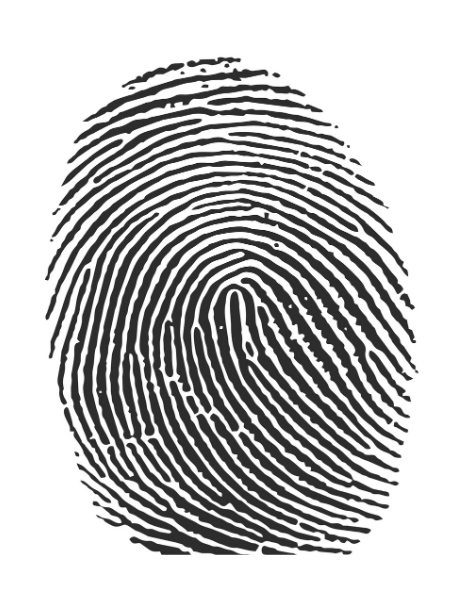 Copy-of-Copy-of-Copy-of-Untitled-3 Fingerprints and More