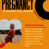 Shristi Foundation - Pregnancy Care Class