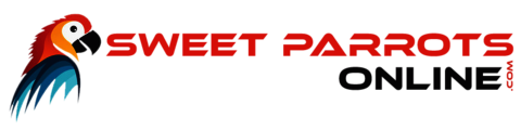 logo - Anonymous
