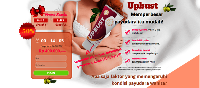 Upbust Indonesia Picture Box