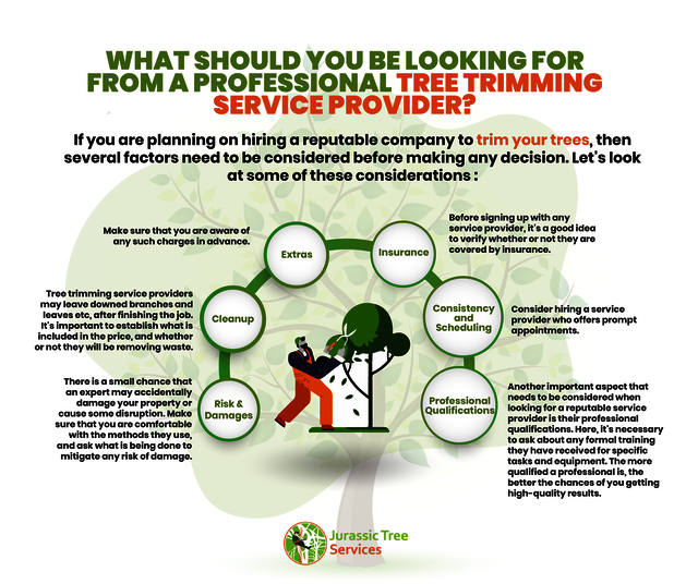 Expert Tree Trimming Services - Jurassic Tree Serv Expert Tree Trimming Services - Jurassic Tree Services