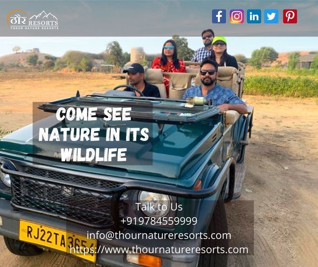 Wildlife Safari in Jawai - Thour Nature Resorts Wildlife Safari - Thour Nature Resorts