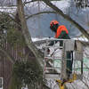 emergency-arborist-at-work ... - Norwalk Tree Service