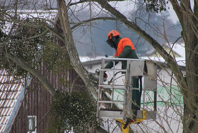 emergency-arborist-at-work orig Norwalk Tree Service