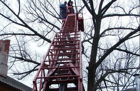 emergency-crew-members Norwalk Tree Service