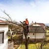 emergency-tree-removal - Norwalk Tree Service