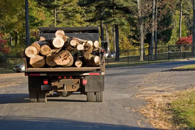 logs-hauled-away-from-site orig Norwalk Tree Service