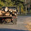logs-hauled-away-from-site ... - Norwalk Tree Service