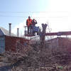 tree-removed-from-property ... - Norwalk Tree Service