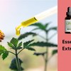 Essential CBD Extract Opini... - Essential CBD Extract
