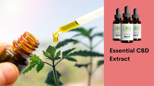 Essential CBD Extract Opiniones, Funciona, Essenti Essential CBD Extract