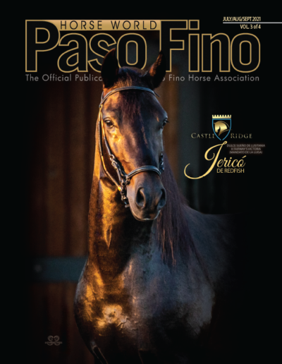 recreational riding PasoFino967