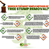 Tree Stump Removal Services - Jurassic Tree Services