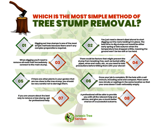 Tree Stump Removal Services - Jurassic Tree Servic Tree Stump Removal Services - Jurassic Tree Services