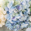 Same Day Flower Delivery Ab... - Florist in Abington, MA