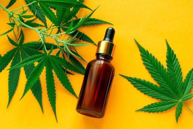 Alpha Extracts Hemp Oil Canada: Ingredients, Price Picture Box