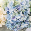 Order Flowers Fort Lauderda... - Florist in Fort Lauderdale, FL