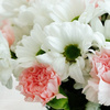 Chicago IL Flower Delivery - Florist in Chicago, IL