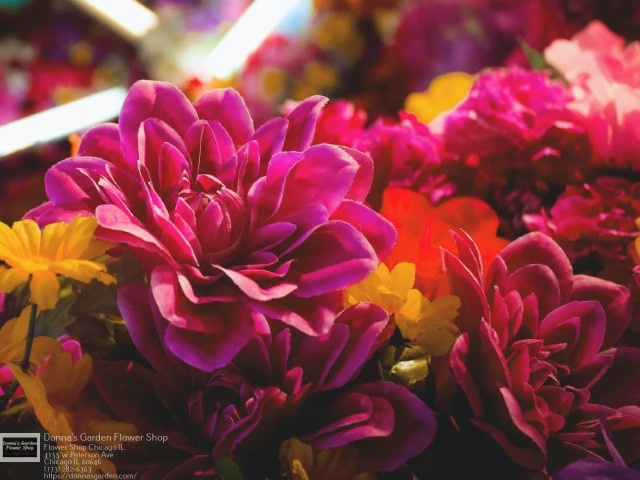 Flower delivery near me Florist in Chicago, IL