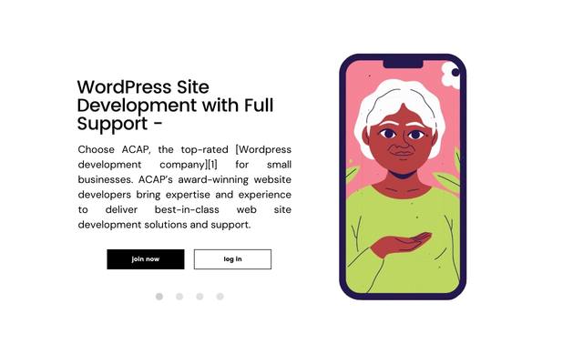 Wordpress Site Development with Full Support Picture Box