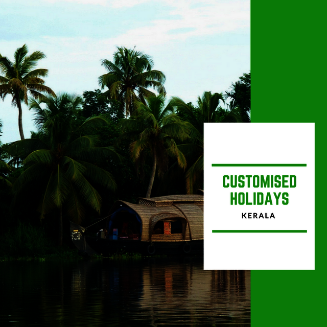 Kerala Tour Packages Swan Tours