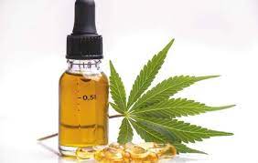 download (40) Cannaverde CBD Oil