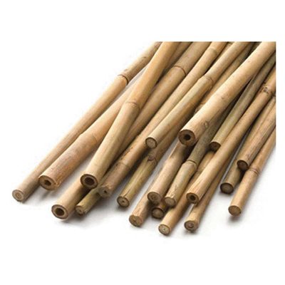BAMBOO-1 Picture Box