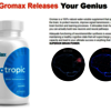 GroMax Nootropic