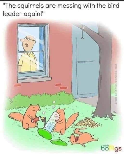 243228007 1062316947852941 8647464369621317941 n - 