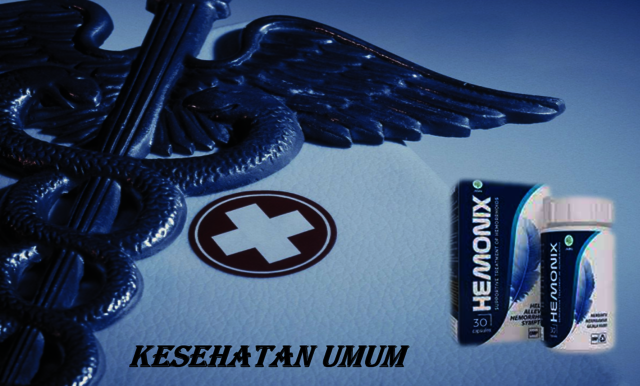 Hemonix Harga Picture Box