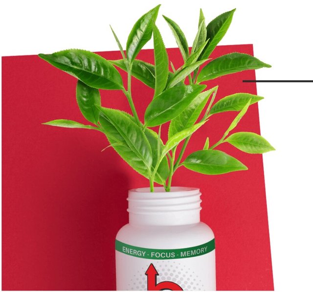 Group-1491 Better High - Reduce THC Tolerance