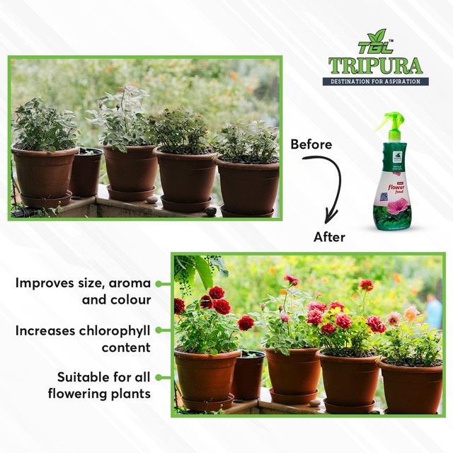 Organic Plant Food | Products | Tripura Biotech Li Tripura_Biotech