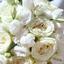 Ballston Spa NY Same Day Fl... - Florist in Malta, NY