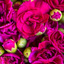 Flower Delivery in Yardley PA - Florist in Yardley, PA