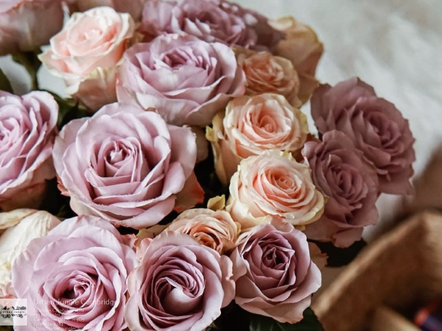 Flower shop near me Florist in Cambridge, ON